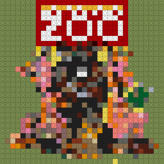 Custom Zoo Buildable Brick Art