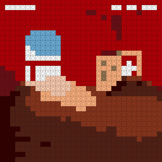 Custom The Slow Rush Buildable Brick Art