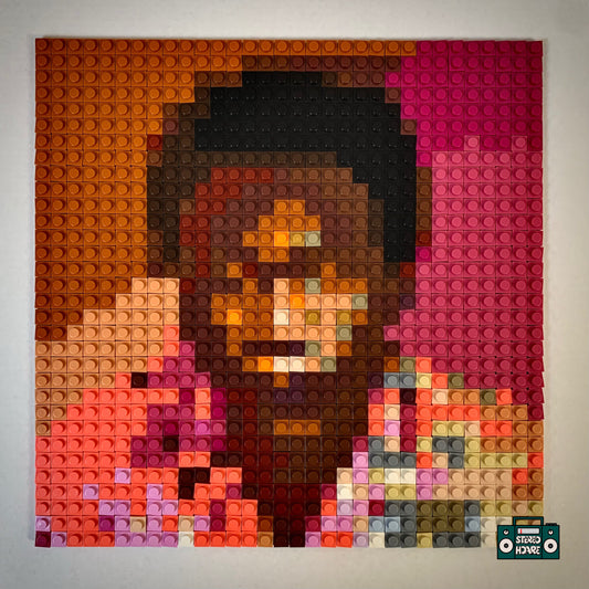 3005 Buildable Brick Art