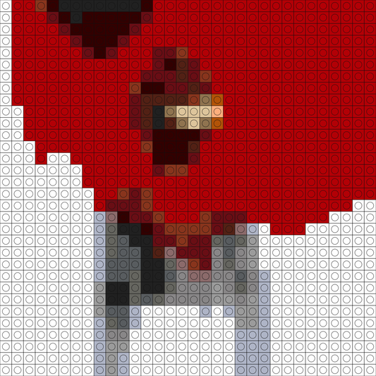 Custom Anti Buildable Brick Art