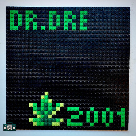 Still DRE Buildable Brick Art